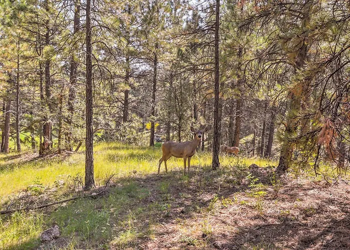 Wooded Retreat W/ Deck: 4 Mi To Downtown * Flagstaff