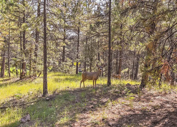 Wooded Retreat W/ Deck: 4 Mi To Downtown Hébergement de vacances Flagstaff